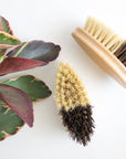 Vegetable Brush - Bamboo Handle, Sisal & Palm Bristles
