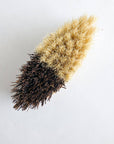 Vegetable Brush - Bamboo Handle, Sisal & Palm Bristles