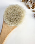 Face Brush - Wood - Natural Bristles & Plastic Free