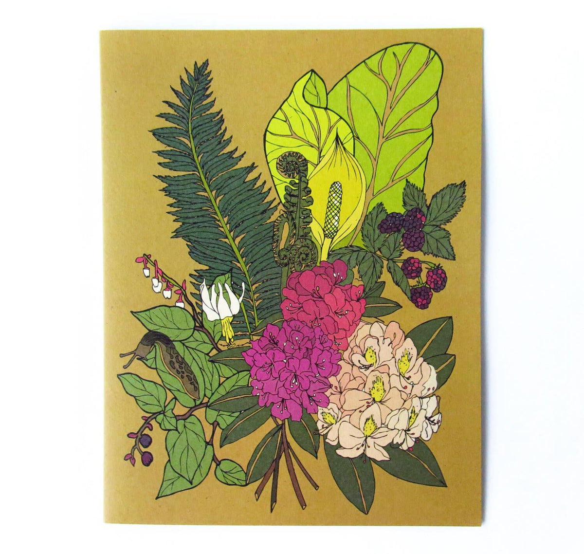 Card - Variety - Wild Life Illustration