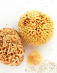 Natural Sea Sponge - Plastic Free Organic Sea Sponge