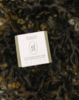 Soap Bar, Coastal Garden Tallow