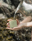 Soap Bar, Coastal Garden Tallow
