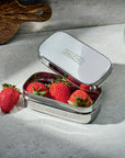Stainless Steal Tiffin (little snacker)