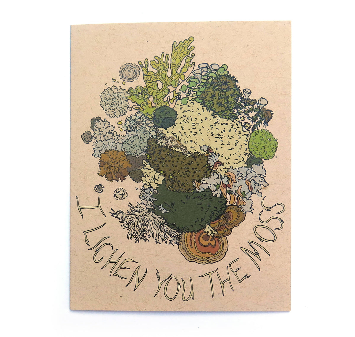 Card - Variety - Wild Life Illustration