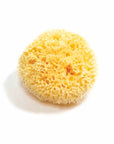 Natural Sea Sponge - Plastic Free Organic Sea Sponge
