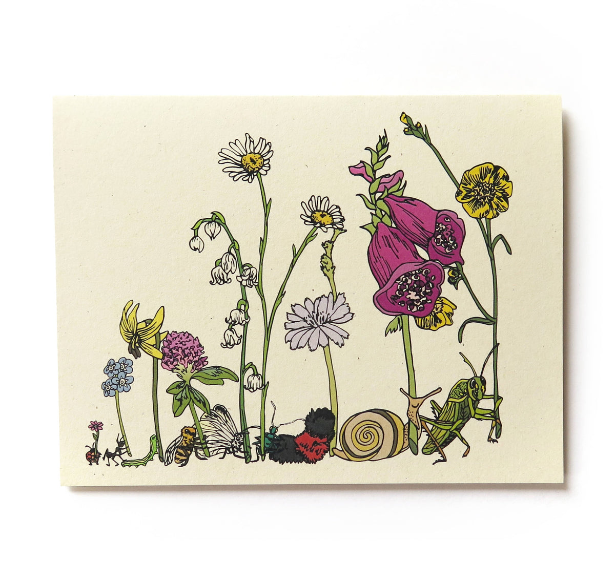 Card - Variety - Wild Life Illustration