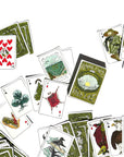 Playing Cards - Wild Life deck of 52+