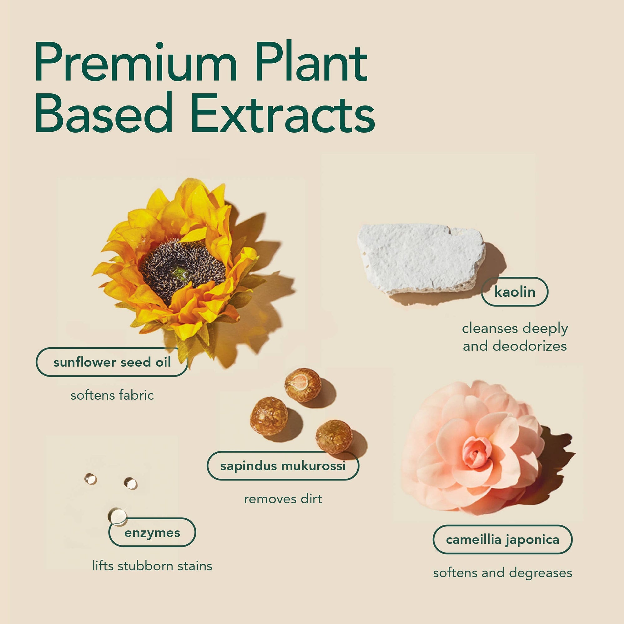 Laundry Detergent Sheets - Zero Waste - Plant Based Extracts