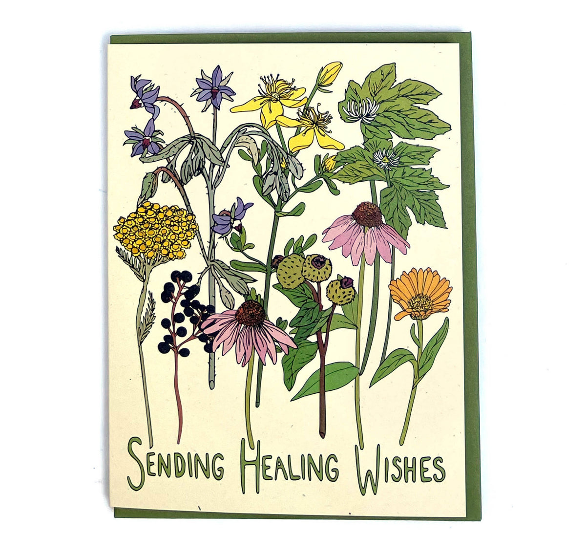 Card - Variety - Wild Life Illustration