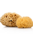 Natural Sea Sponge - Plastic Free Organic Sea Sponge