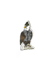 Sticker - Eagle (by Wild Life Illustration Co.)