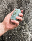 Soap Bar - Ocean Flora