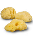 Natural Sea Sponge - Plastic Free Organic Sea Sponge