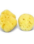 Natural Sea Sponge - Plastic Free Organic Sea Sponge
