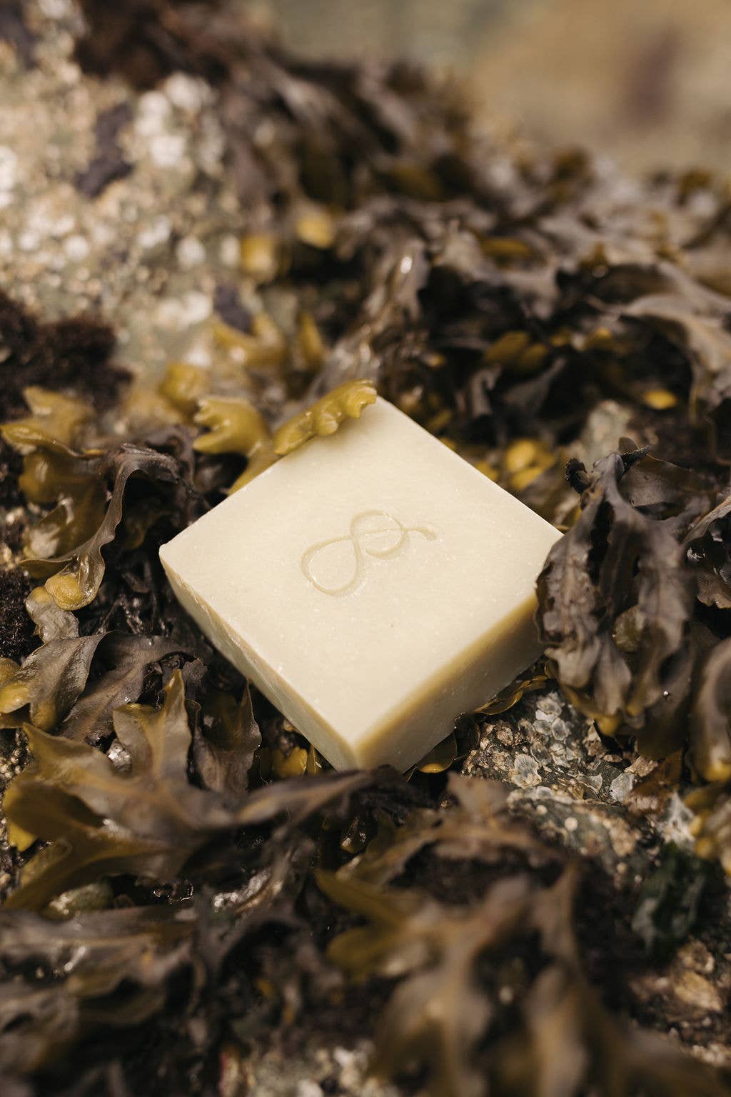 Soap Bar, Coastal Garden Tallow