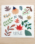 Sponge Cloth - Various Prints