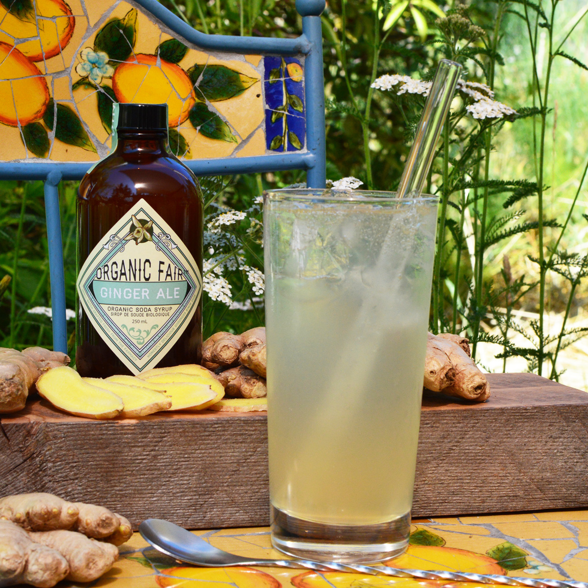 Soda Syrup, Ginger Ale