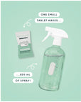 Bathroom Cleaning Spray Kit